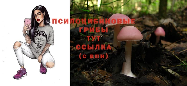 каннабис Алзамай