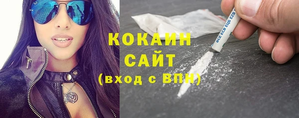 сатива Новозыбков